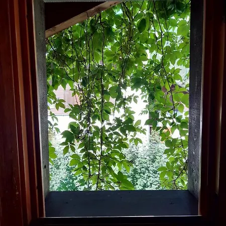 Apartman Blanc 